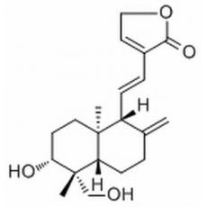 14-去氧-11,12-二去氫穿心蓮內酯