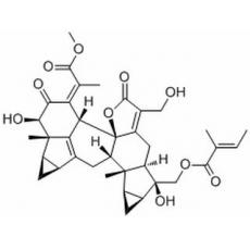 銀線草醇 C