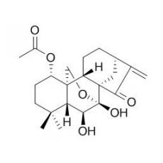 疏展香茶菜寧B